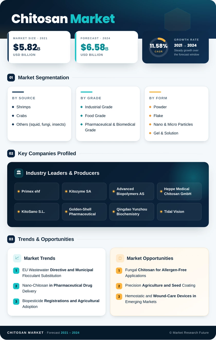 Chitosan Market Research Report - Forecast till 2035 Infographic