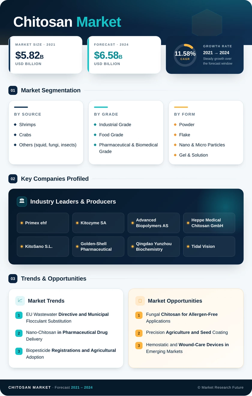 Chitosan Market Research Report - Forecast till 2035 Infographic