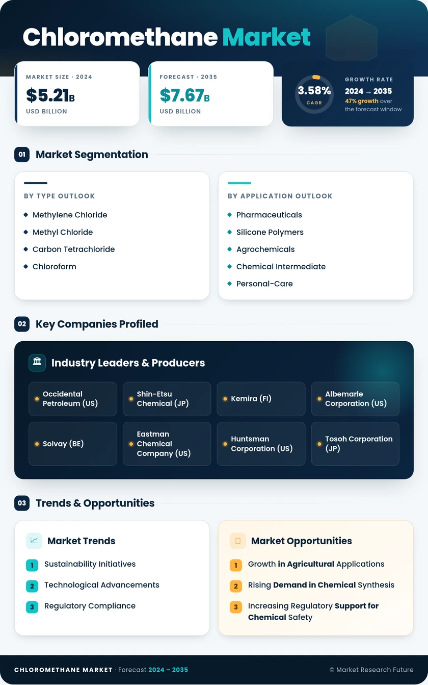 Chloromethane Market Research Report- Forecast to 2035 Infographic