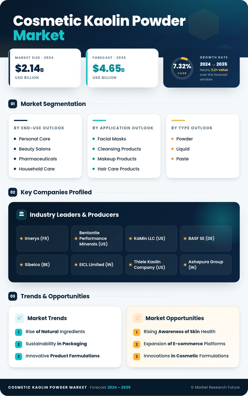 Cosmetic Kaolin Powder Market Research Report — Global Forecast till 2035 Infographic