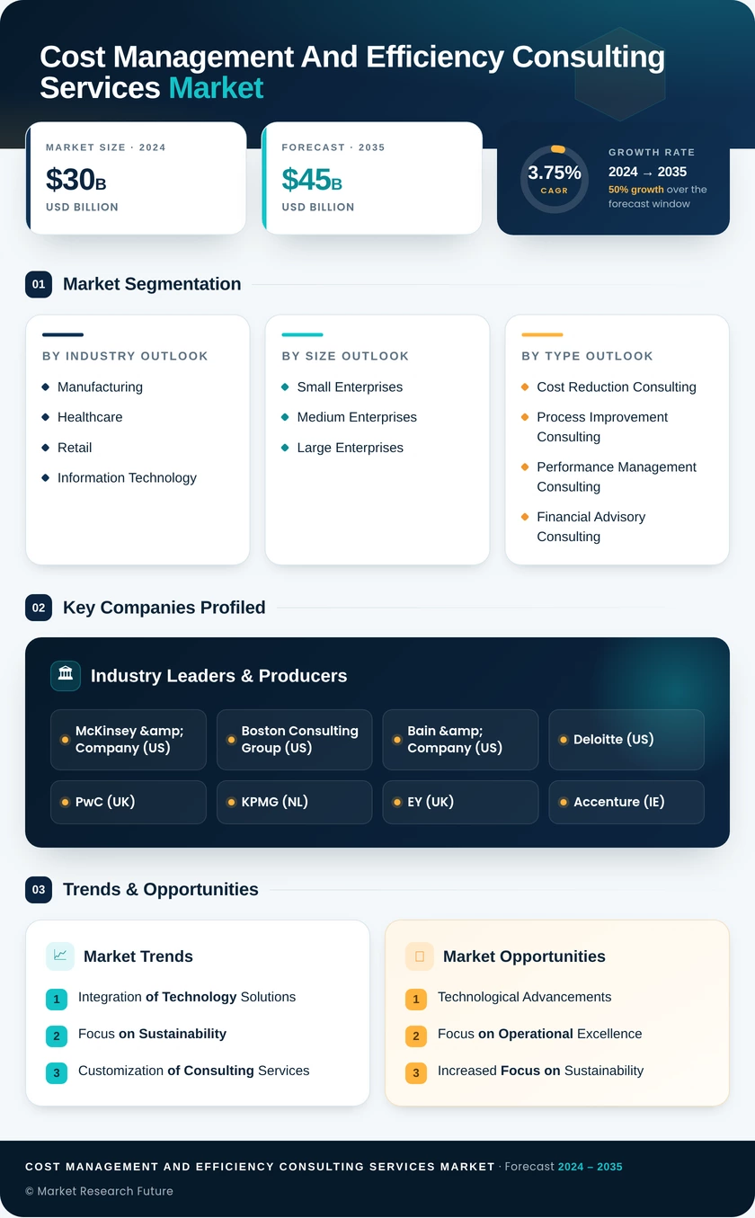 Cost Management and Efficiency Consulting Services Market Infographic