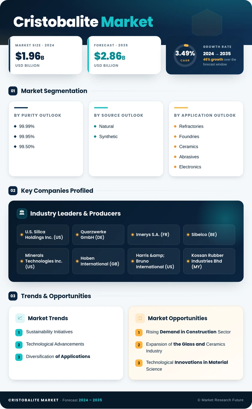 Cristobalite Market Research Report - Global Forecast till 2035 Infographic