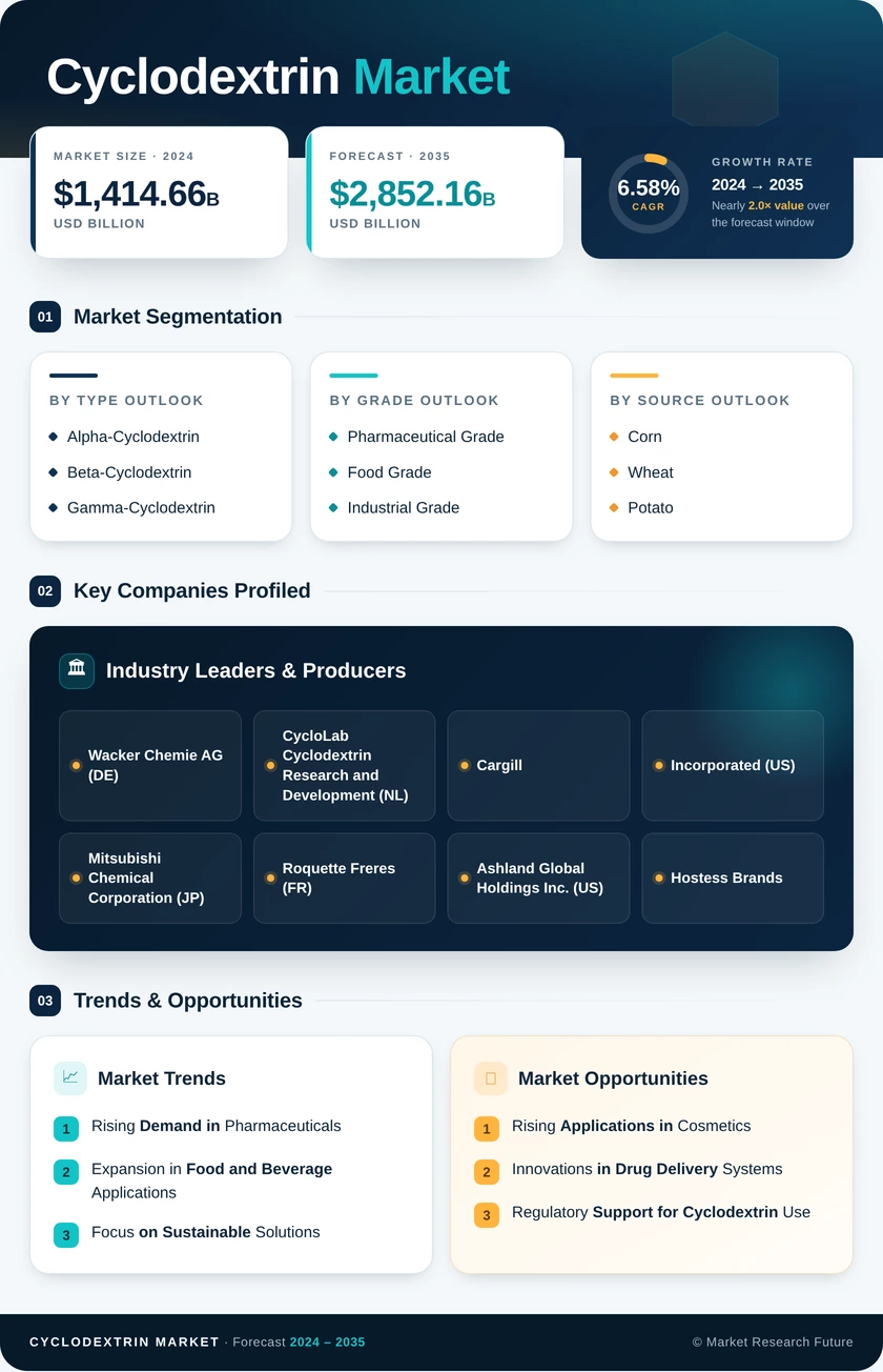 Cyclodextrin Market Research Report — Global Forecast till 2035 Infographic