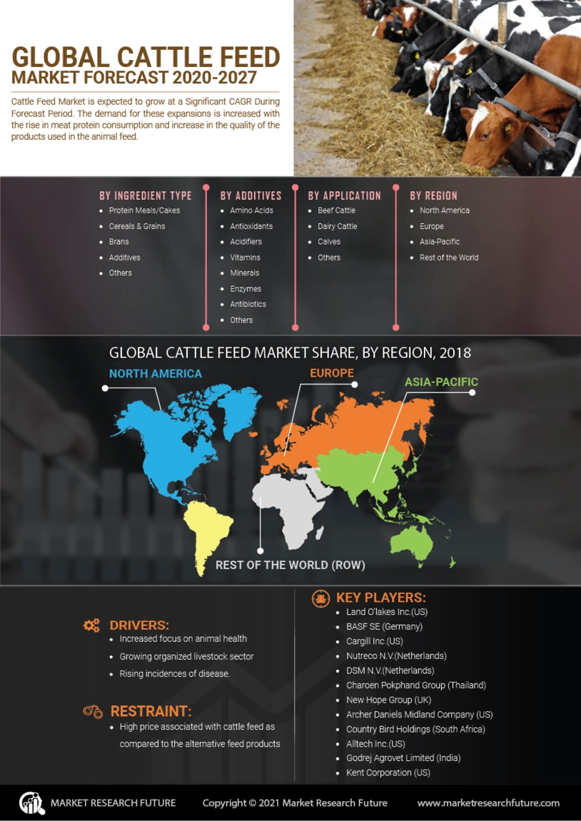 Cattle Feed Market Trends, Size, Share, Growth, Industry Report