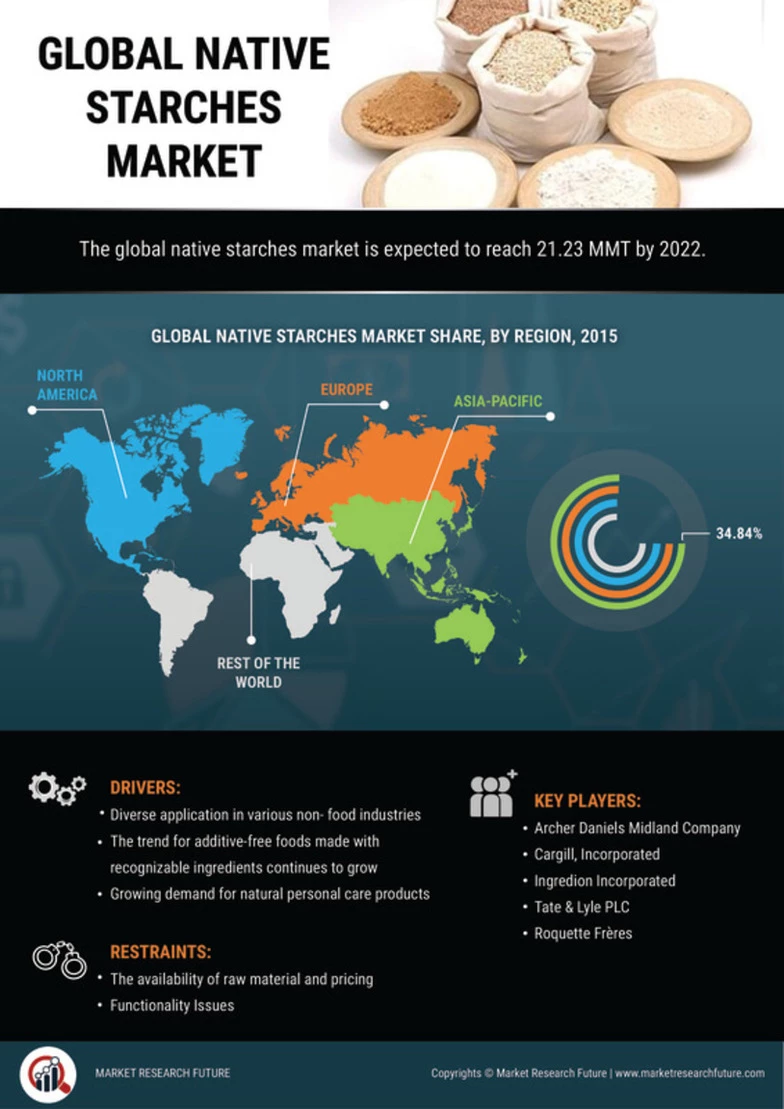 Native Starches Market Outlook, Size, Share & Industry, Report