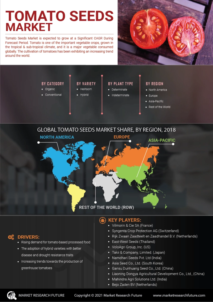 Tomato Seeds Market Overview, Size, Share, Growth, Trend