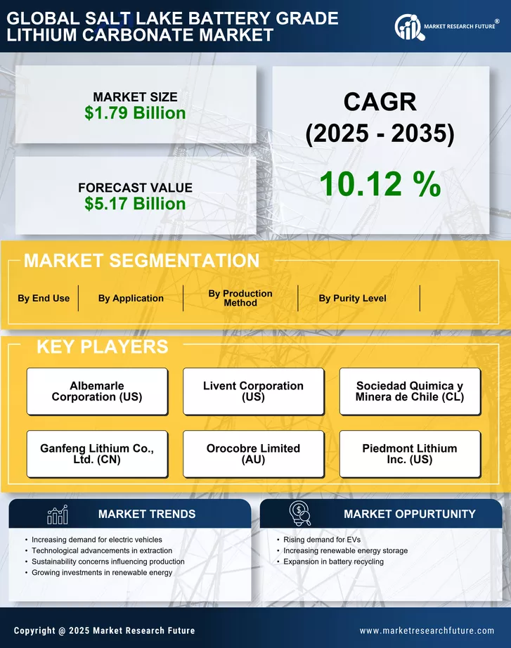 Salt Lake Battery Grade Lithium Carbonate Market Size, Share Report 2035
