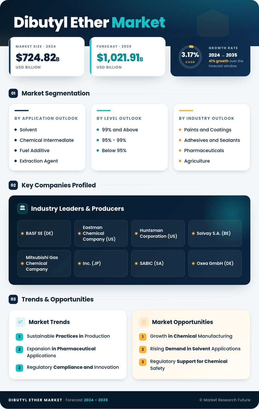 Dibutyl Ether Market Research Report — Global Forecast till 2035 Infographic