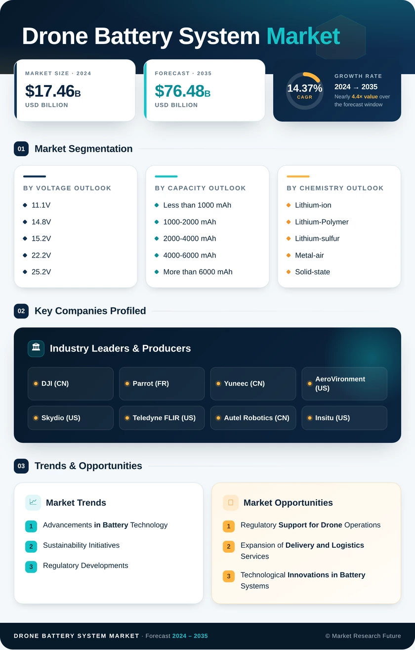Drone Battery System Market Research Report - Global Forecast to 2035 Infographic