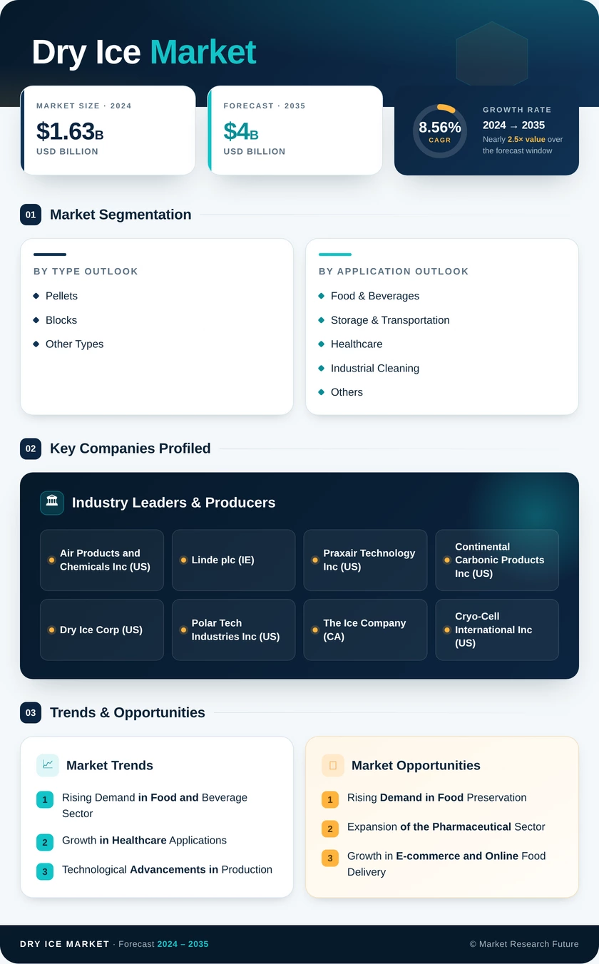 Dry Ice Market Research Report - Forecast till 2035 Infographic