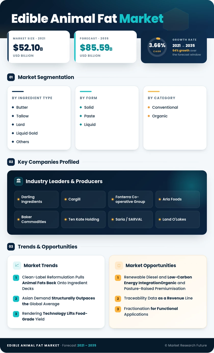 Edible Animal Fat Market Research Report — Forecast till 2035 Infographic