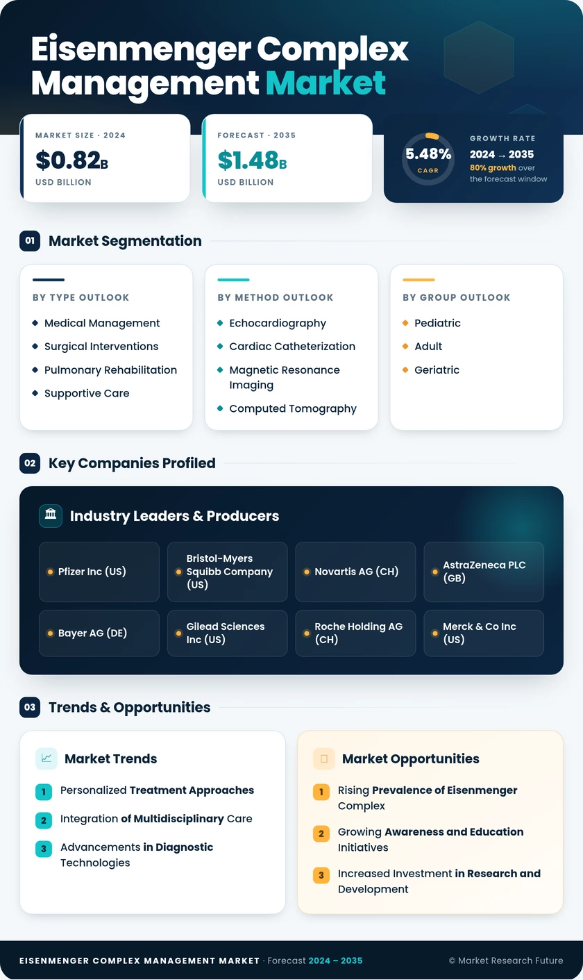 Eisenmenger Complex Management Market Research Report — Global Forecast till 2035 Infographic