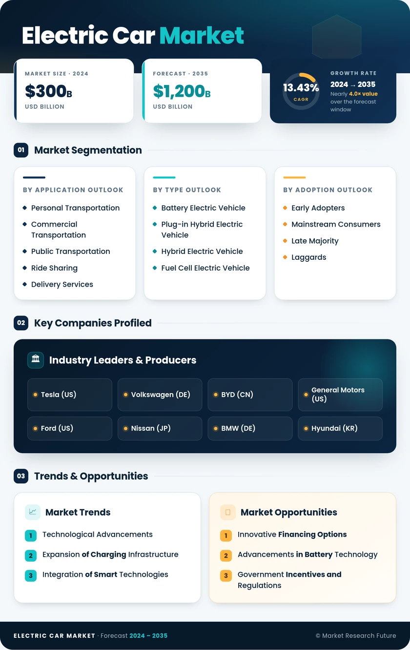 Electric Car Market Infographic