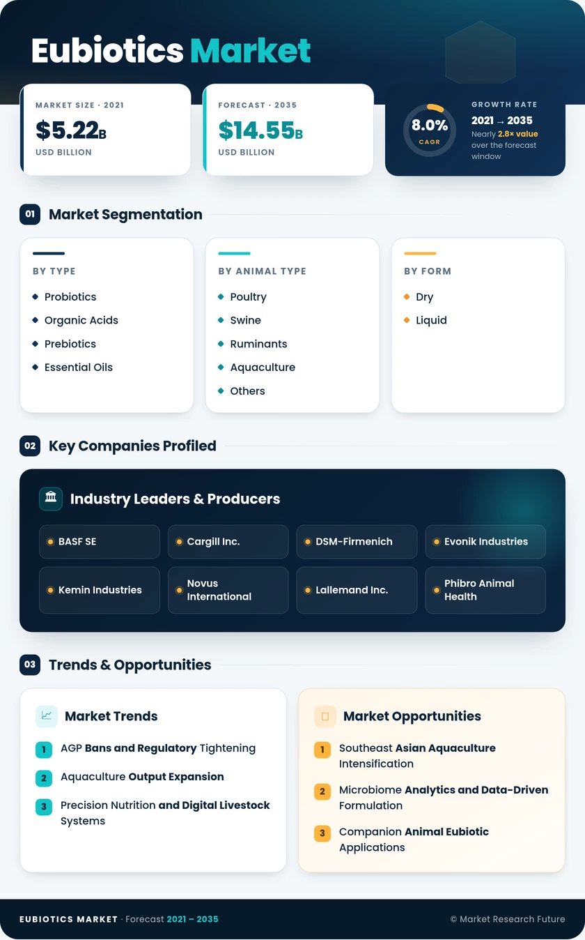 Eubiotics Market Research Report- Forecast till 2035 Infographic