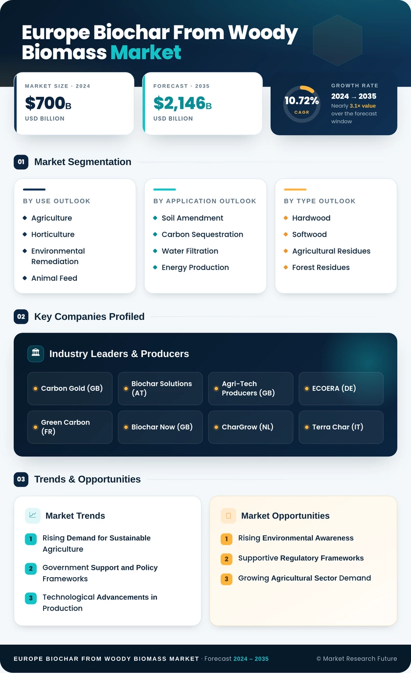 Europe Biochar from Woody Biomass Market Research Report — Global Forecast till 2035 Infographic