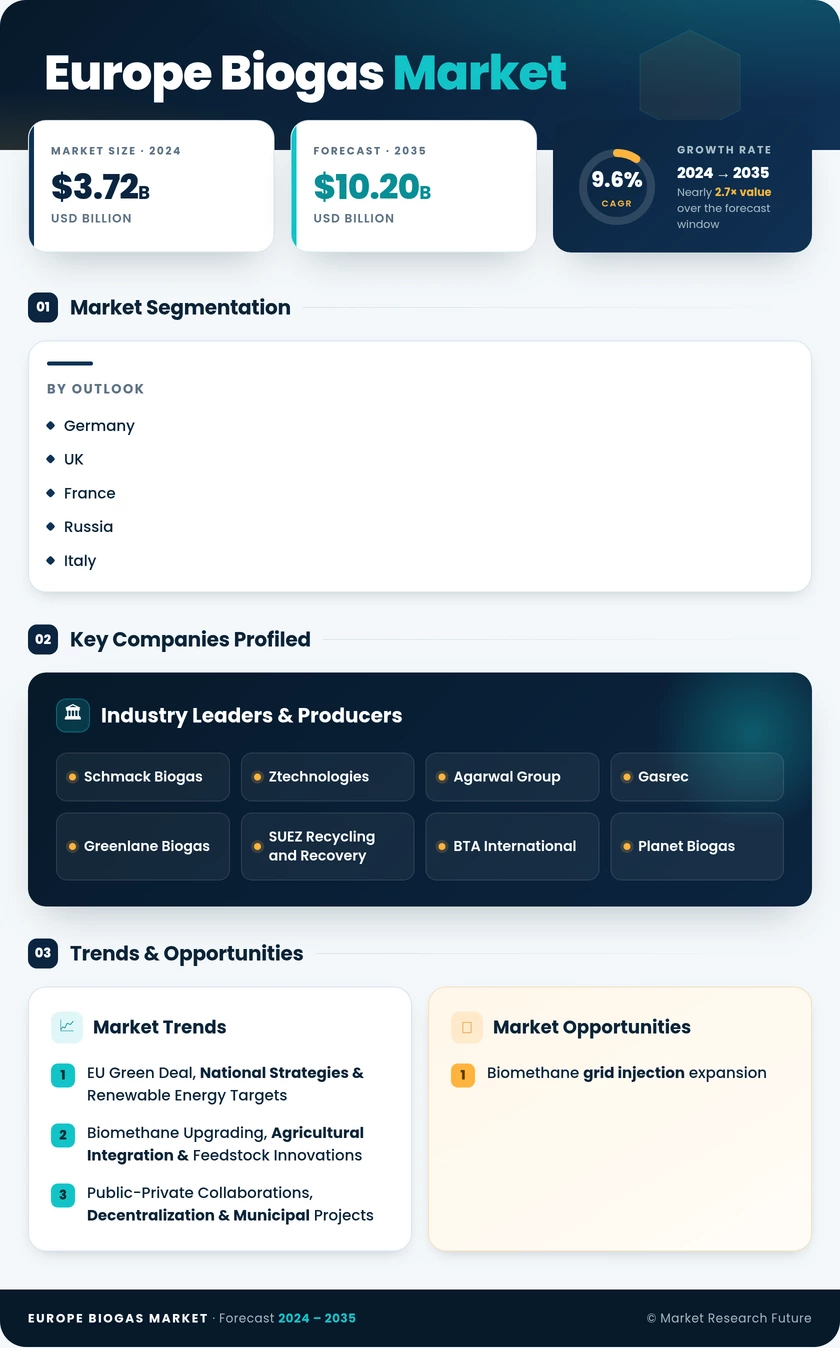 Europe Biogas Market Research Report-Forecast to 2035 Infographic