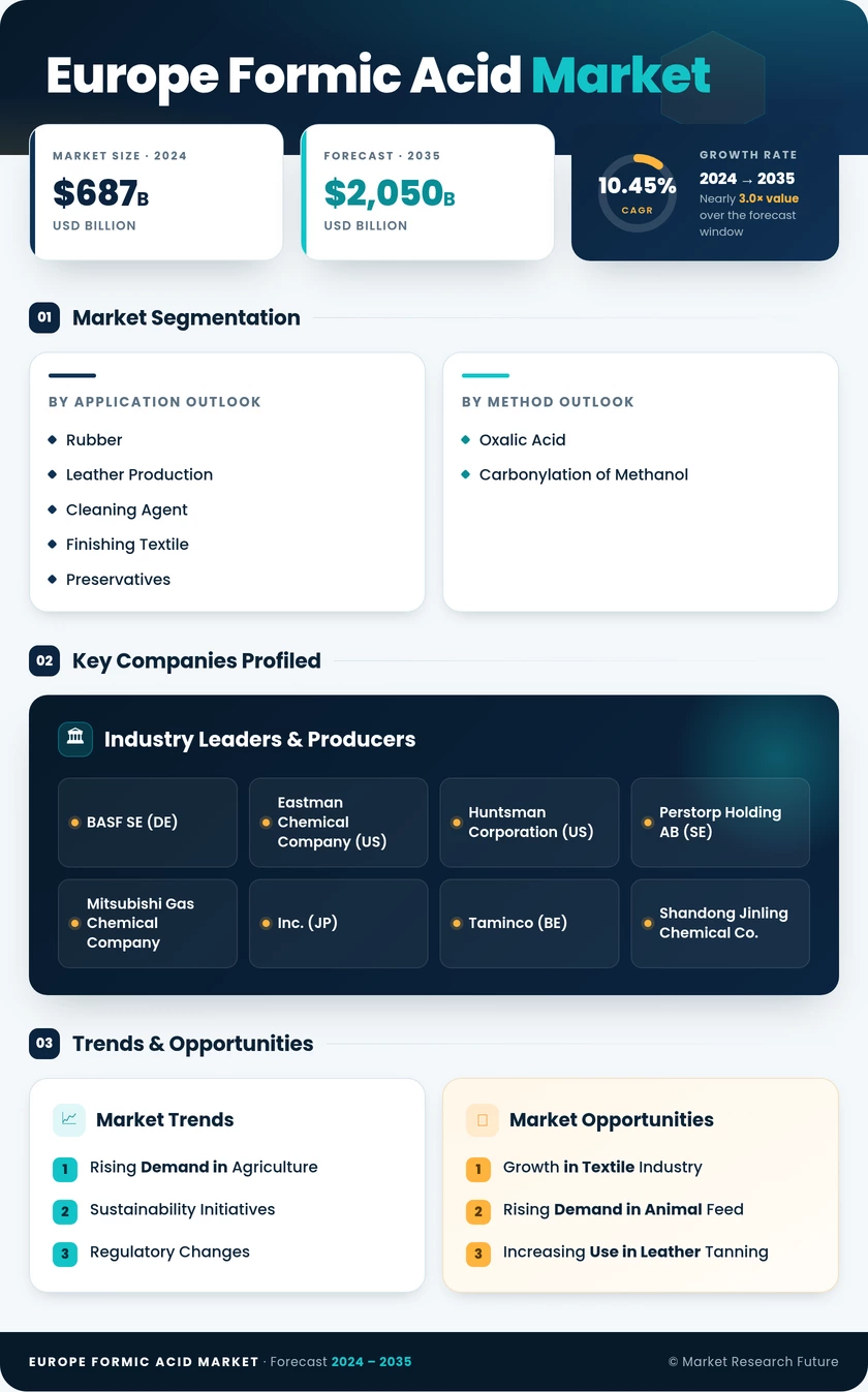 Europe Formic Acid Market Research Report- Forecast to 2035 Infographic