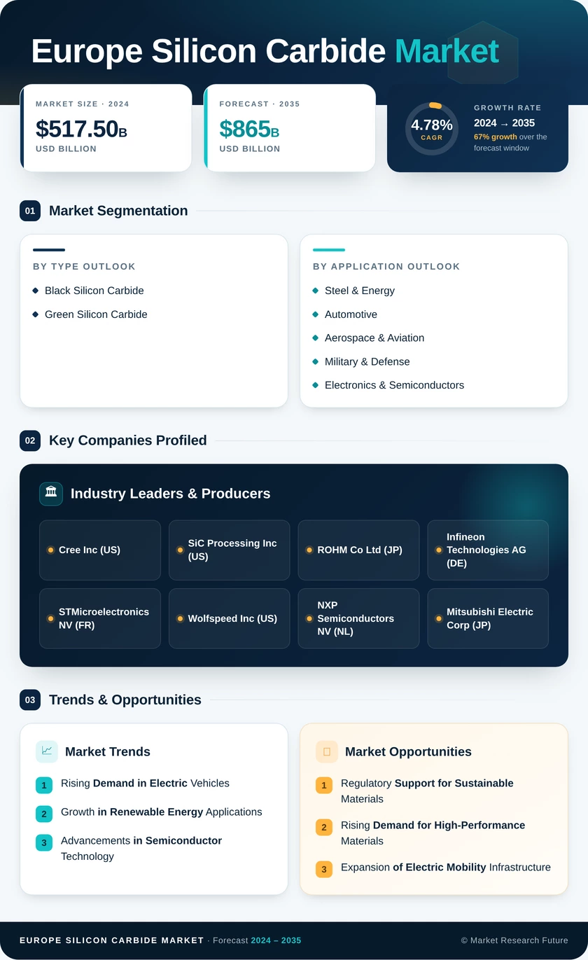 Europe Silicon Carbide Market Research Report - Forecast by 2035 Infographic