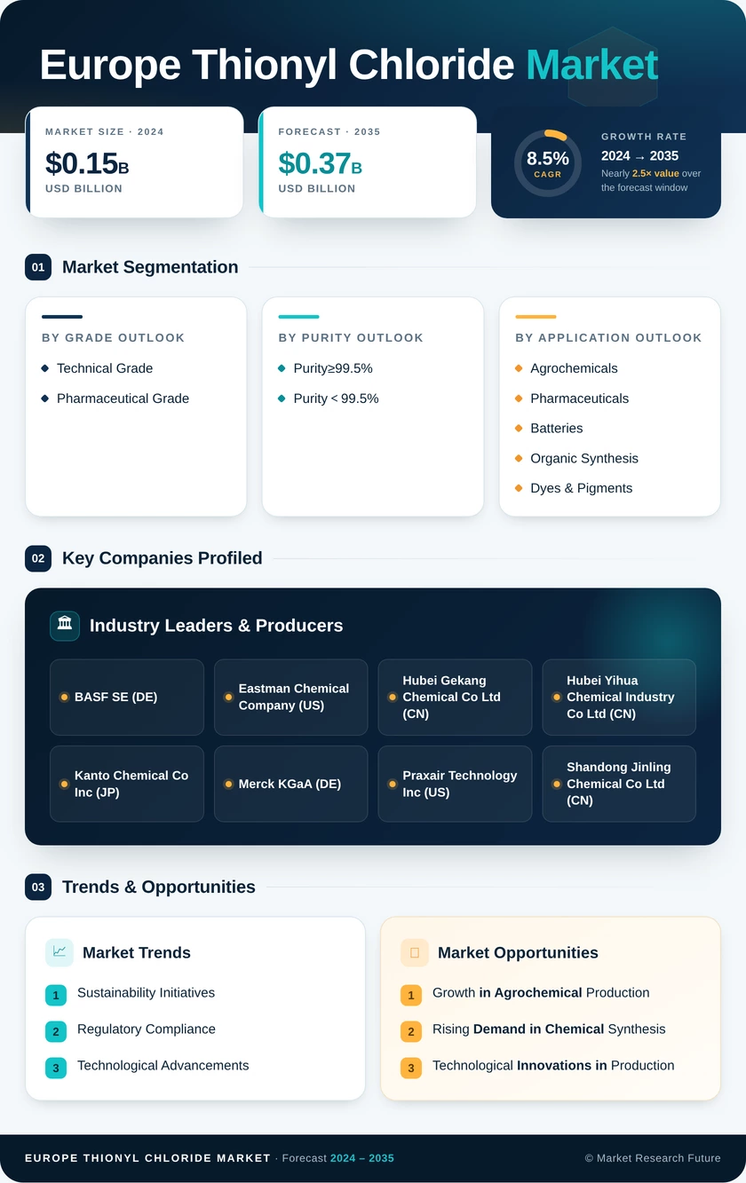 Europe Thionyl Chloride Market Research Report - Forecast by 2035 Infographic