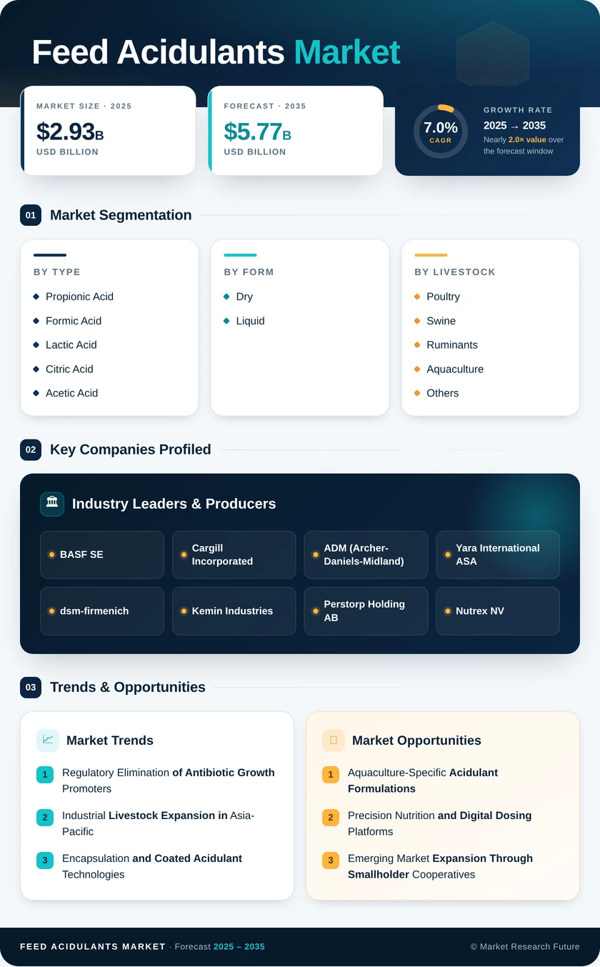 Feed Acidulants Market Research Report—Forecast till 2035 Infographic