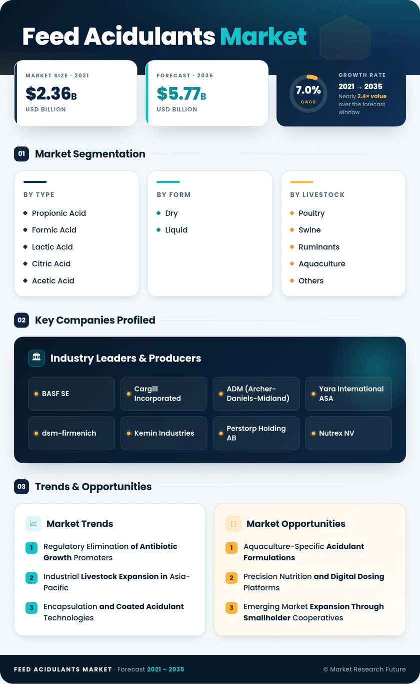 Feed Acidulants Market Research Report—Forecast till 2035 Infographic