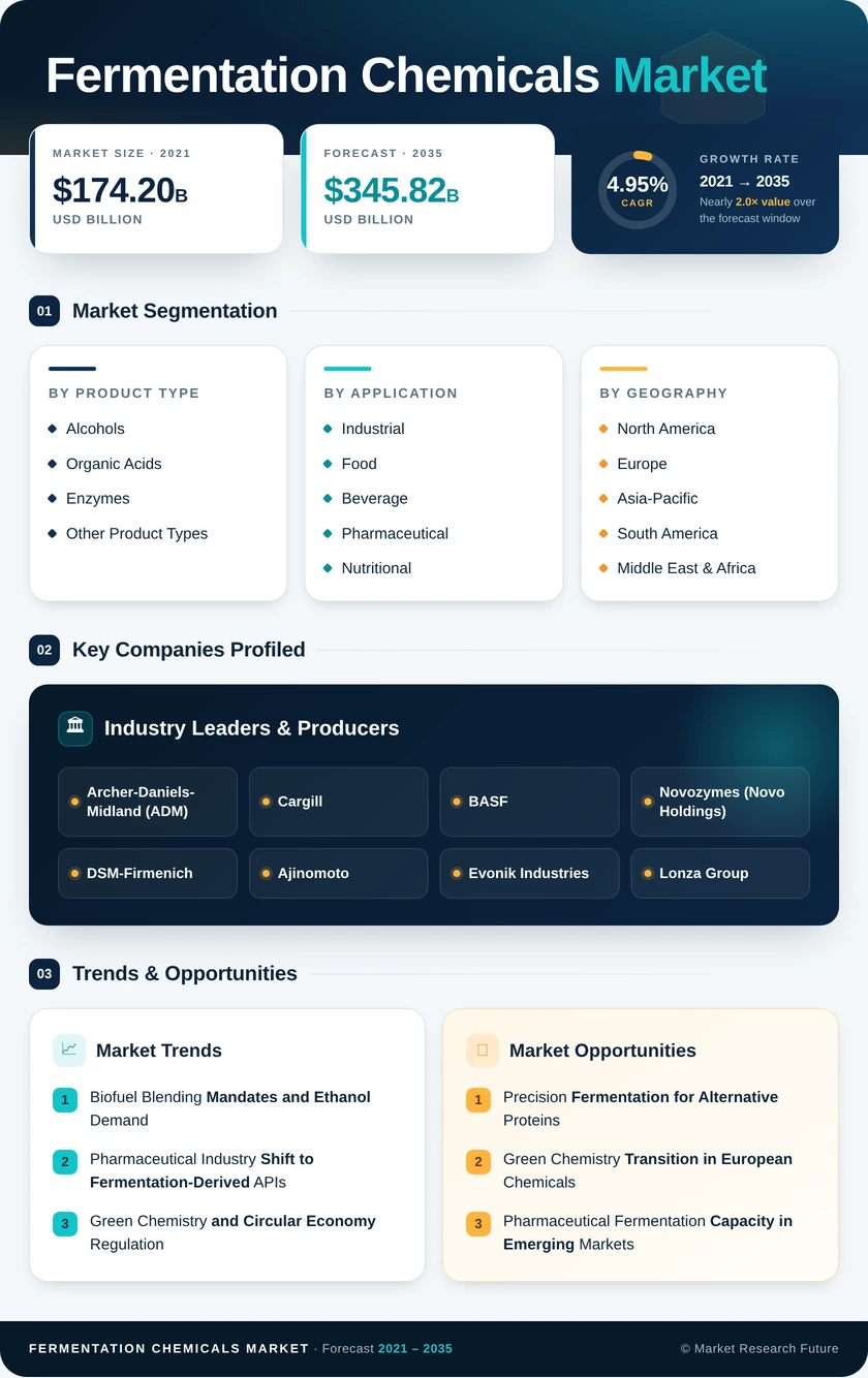 Fermentation Chemicals Market Research Report - Forecast Till 2035 Infographic