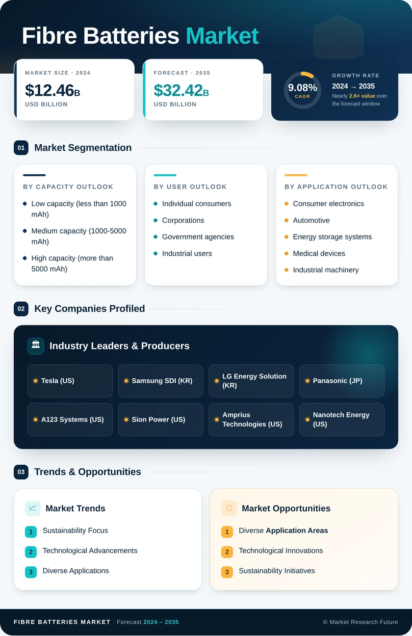 Fiber Batteries Market Research Report—Forecast till 2035 Infographic