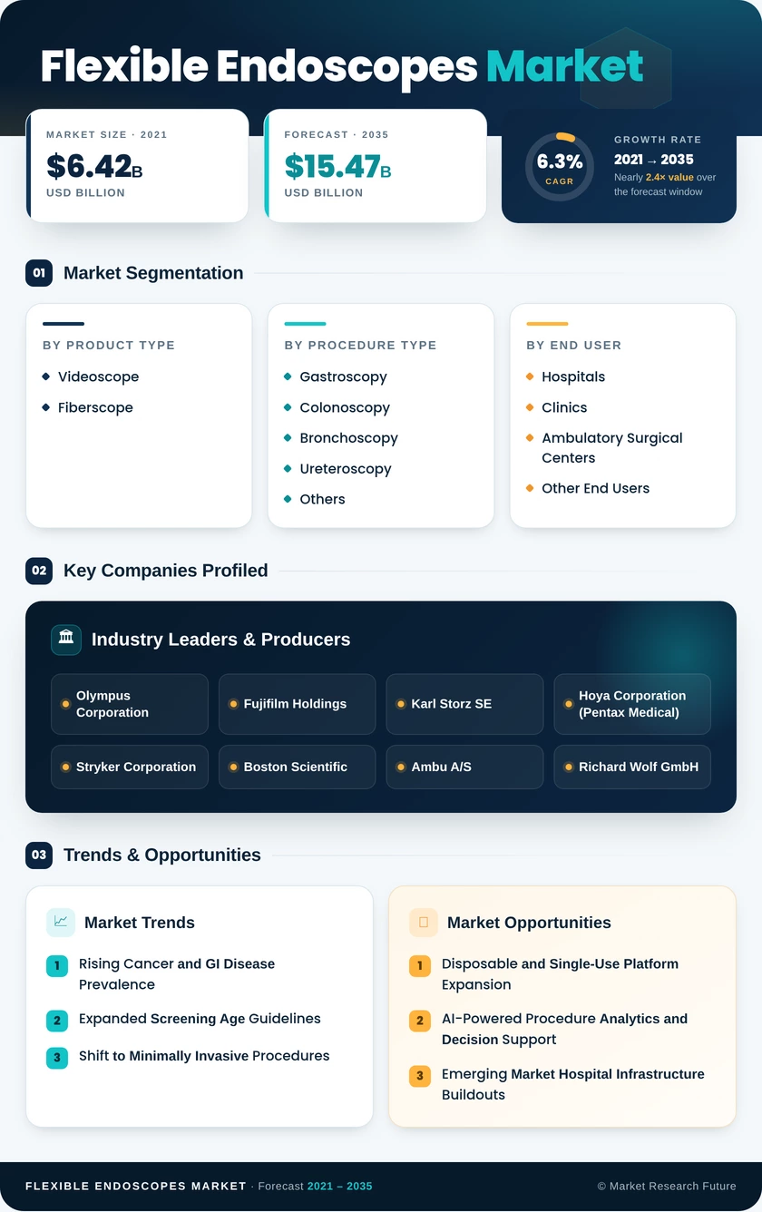 Flexible Endoscopes Market Research Report—Global Forecast till 2035 Infographic