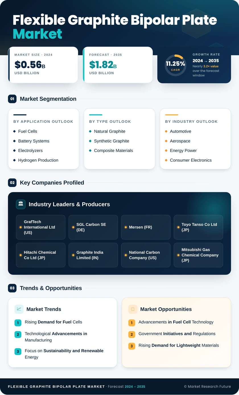 Flexible Graphite Bipolar Plate Market Research Report-Forecast Till 2035 Infographic