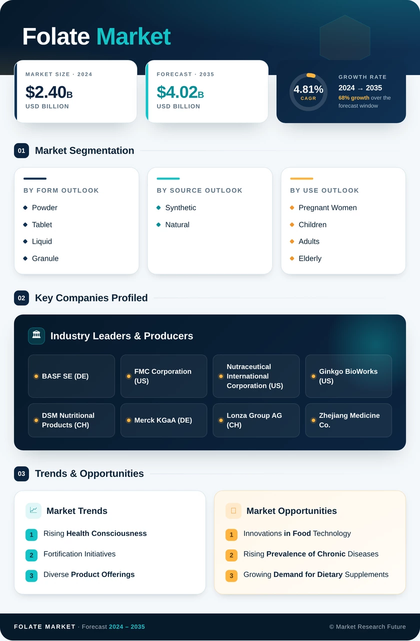 Folate Market Research Report - Global Forecast till 2035 Infographic