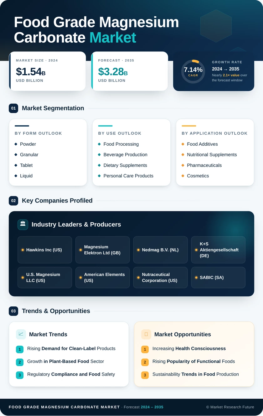 Food Grade Magnesium Carbonate Market Research Report — Global Forecast till 2035 Infographic