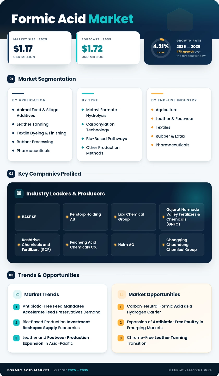 Formic Acid Market Research Report- Forecast to 2035 Infographic