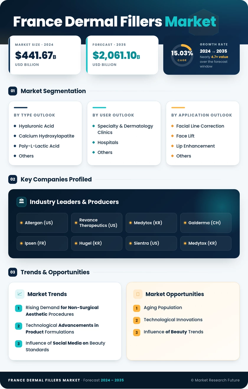 France Dermal Fillers Market-Forecast to 2035 Infographic