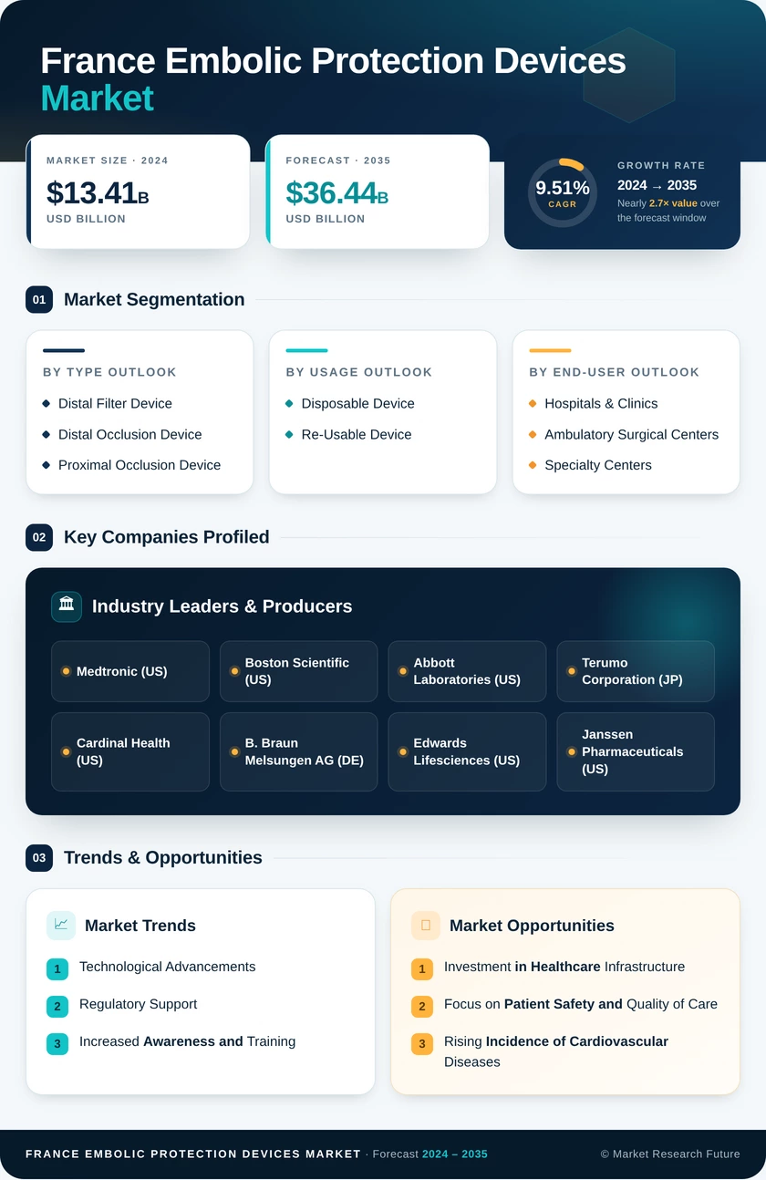 France Embolic Protection Devices Market Research Report - Forecast to 2035 Infographic
