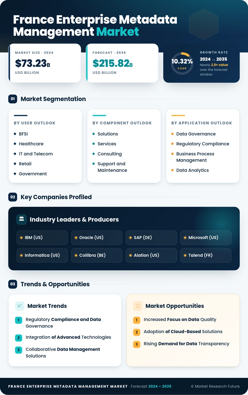 France Enterprise Metadata Management Market 
Research Report- Forecast to 2035 Infographic