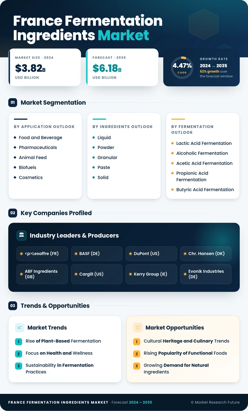 France Fermentation Ingredients Market Research Report - Forecast to 2035 Infographic