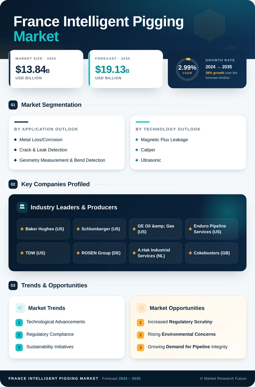 France Intelligent Pigging Market Research Report - Forecast to 2035 Infographic