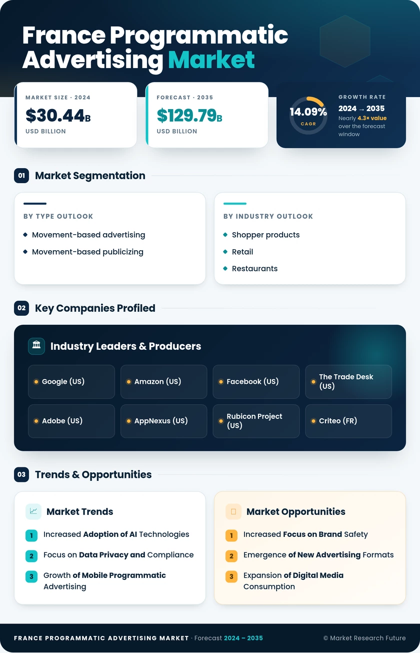 France Programmatic Advertising Market Research Report- Forecast to 2035 Infographic