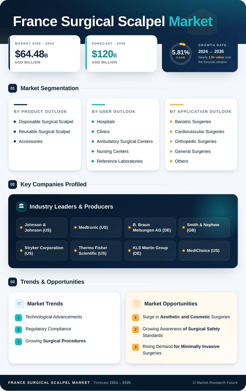 France Surgical Scalpel Market Research Report — Global Forecast till 2035 Infographic