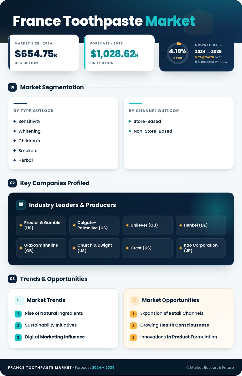 France Toothpaste Market Research Report - Forecast Till 2035 Infographic