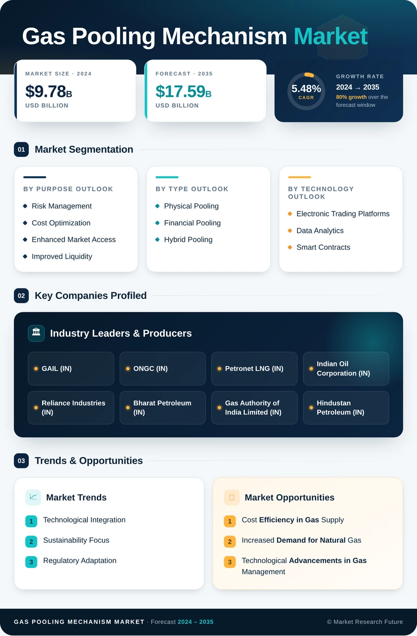 Gas Pooling Mechanism Market Infographic