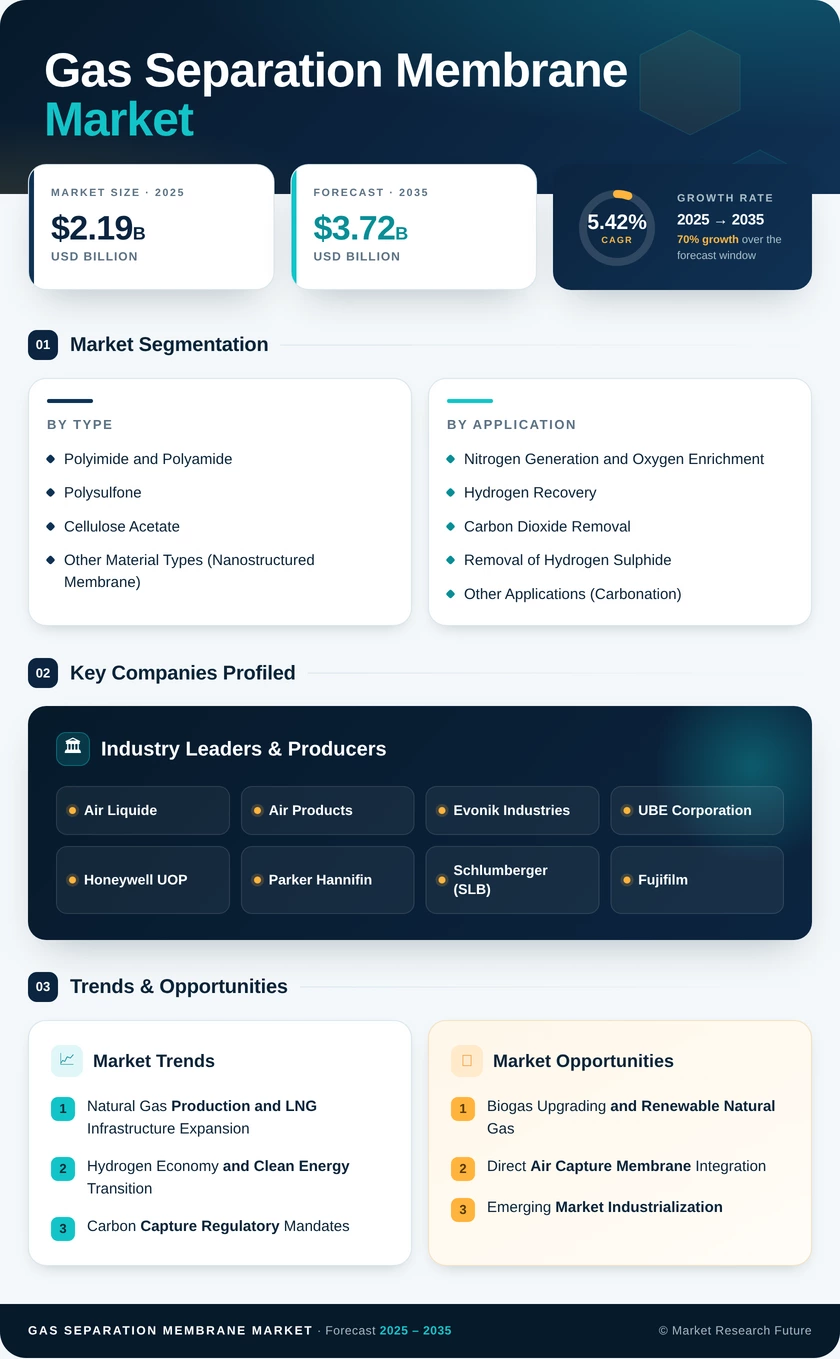 Gas Separation Membrane Market Research Report – Global Forecast till 2035 Infographic