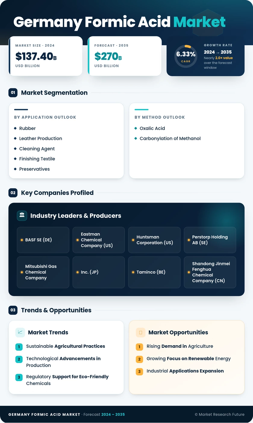 Germany Formic Acid Market Research Report- Forecast to 2035 Infographic