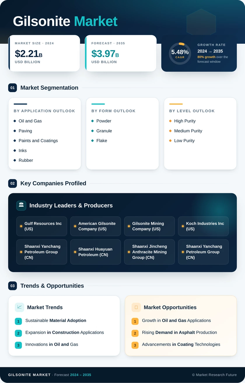 Gilsonite Market Research Report - Global Forecast to 2035 Infographic
