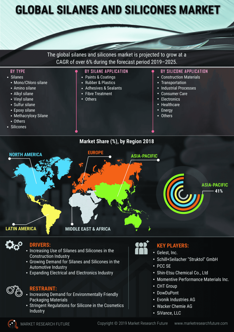 Silanes and Silicones Market