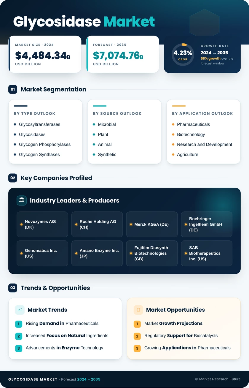 Glycosidase Market Research Report Forecast Till 2035 Infographic