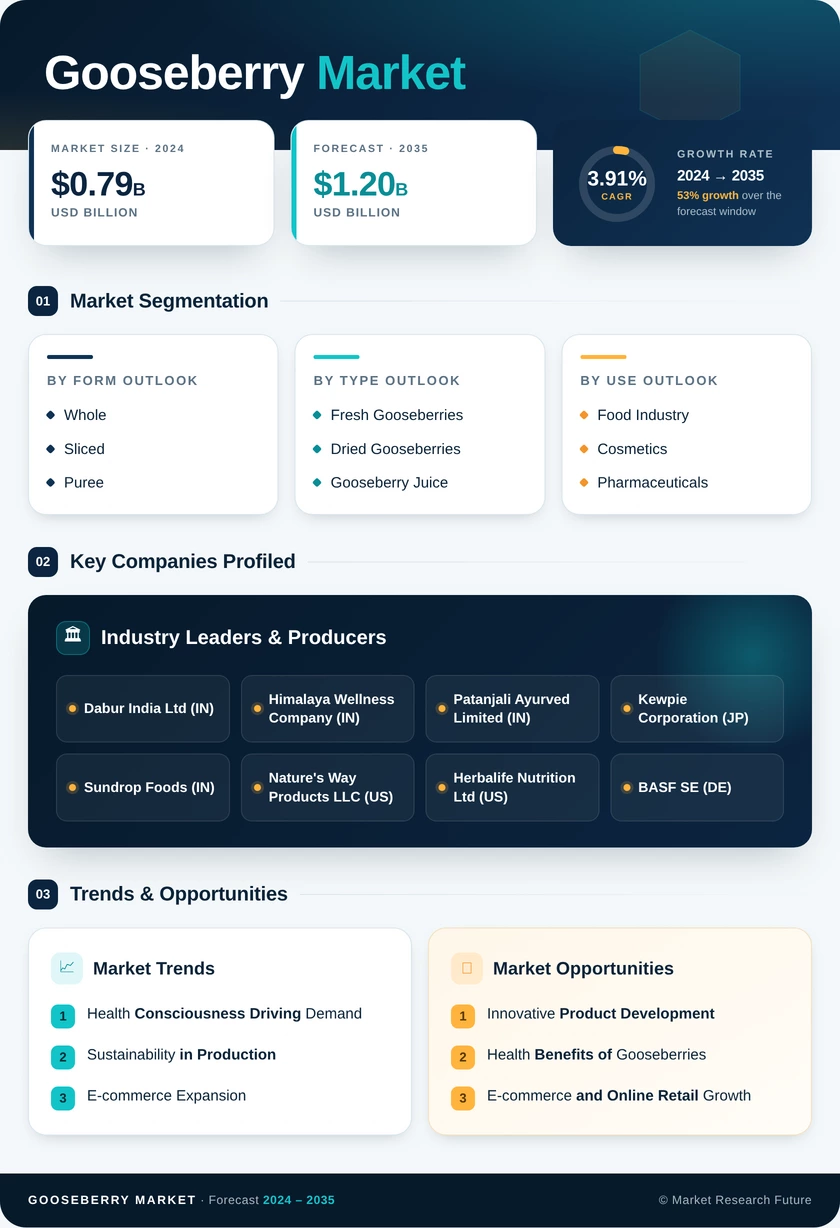Gooseberry Market Research Report — Global Forecast till 2035 Infographic