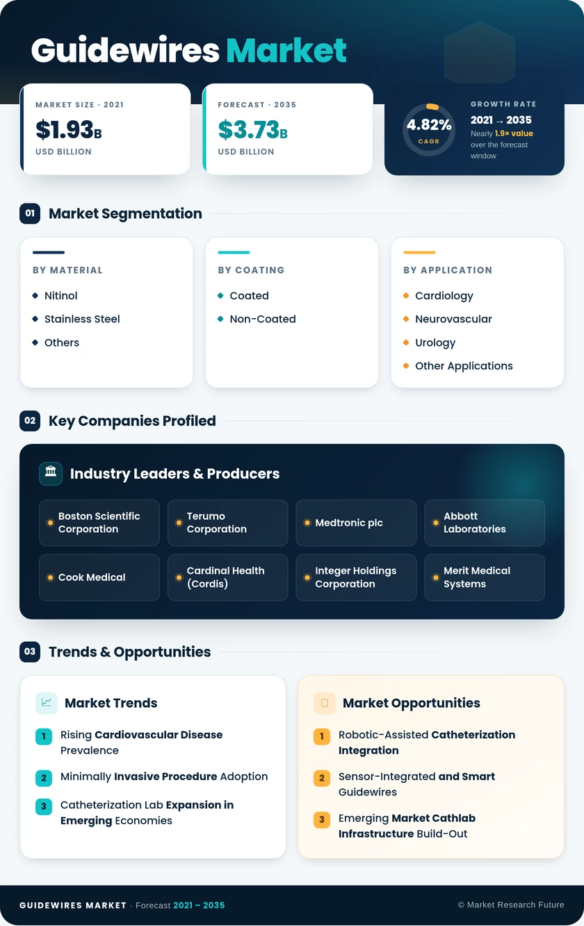 Guidewires Market Research Report—Global Forecast till 2035 Infographic