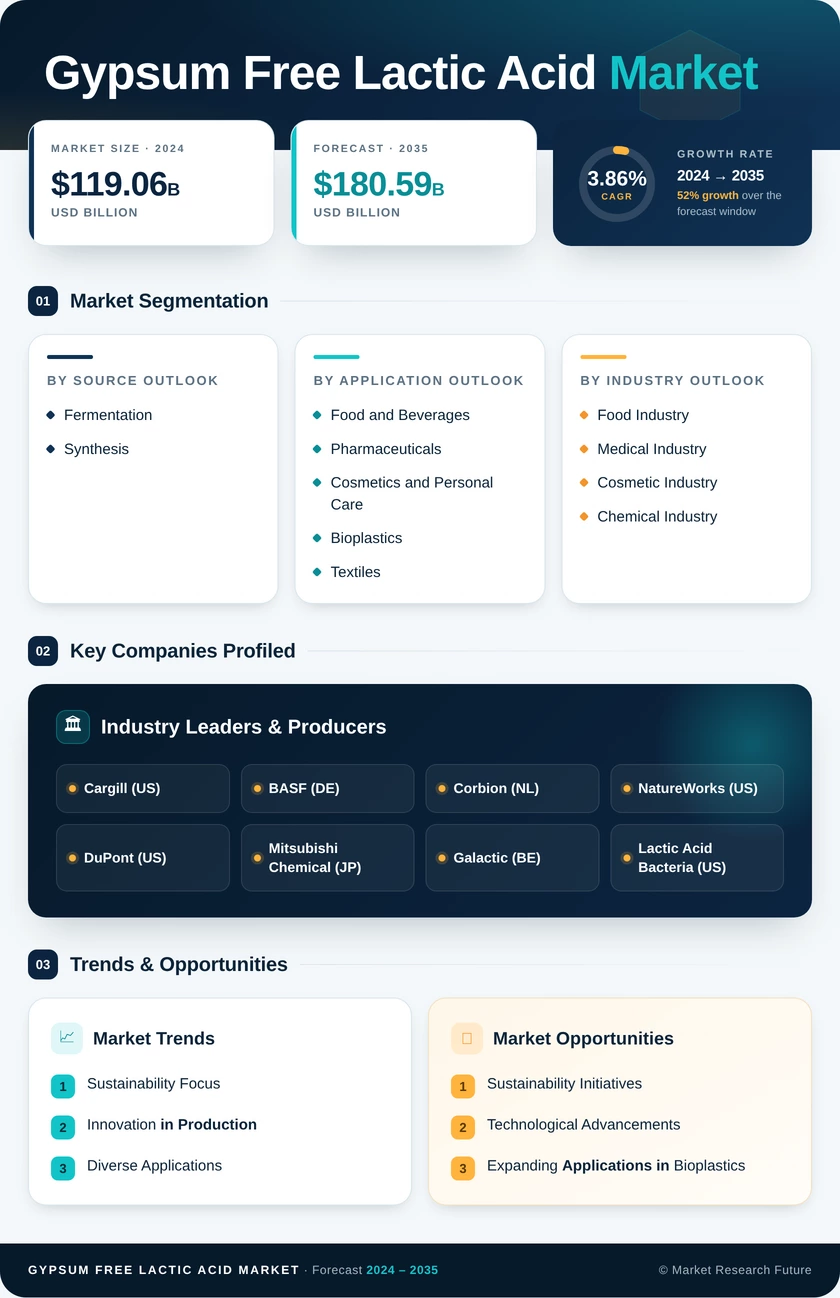 Gypsum Free Lactic Acid Market Research Report - Global Forecast by 2035 Infographic