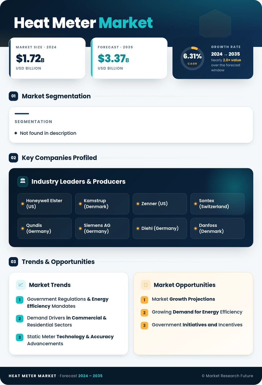 Heat Meter Market Research Report- Forecast till 2035 Infographic